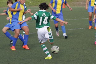 爱游戏电竞-阿雅克肖队在比赛中展现出色防守,守住荣耀与梦想