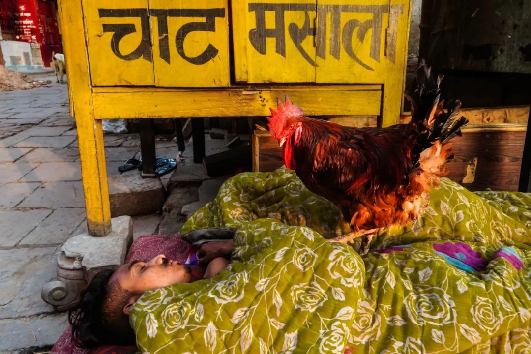 爱游戏课程-关于阿尔巴尼亚备战伊斯坦布尔，触目惊心的信息