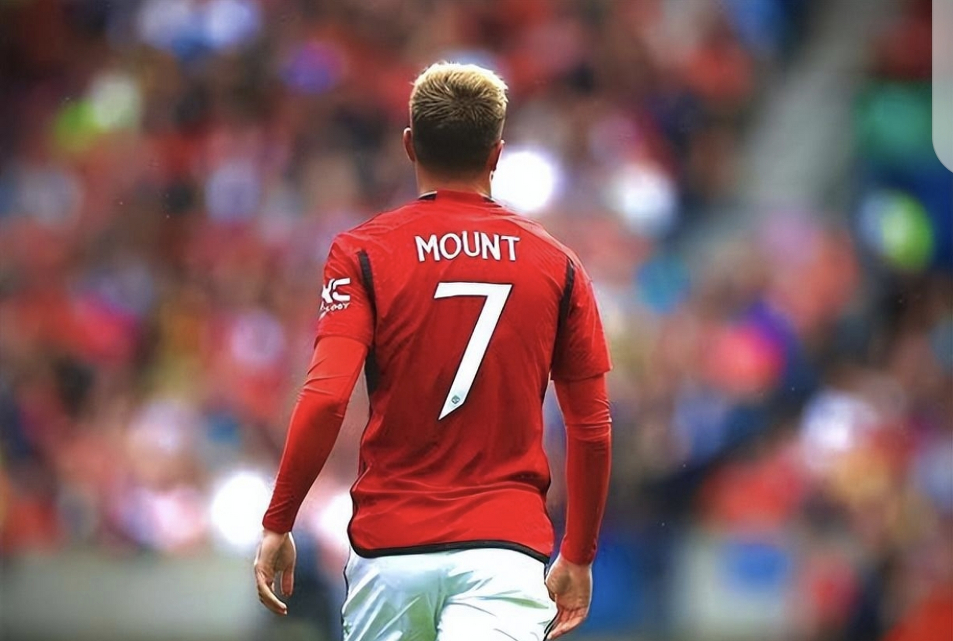 爱游戏网页版-关于卢卡库：曼联的目标是夺得英超冠军，我会为此努力奋斗的信息